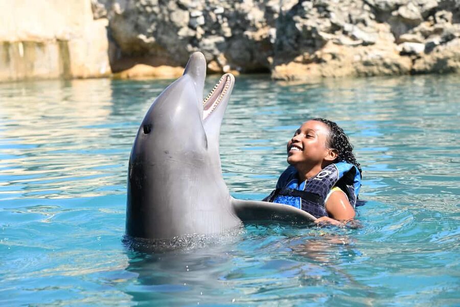 Puerto Plata Ocean World Dolphin Swim - What the trainer talk adds