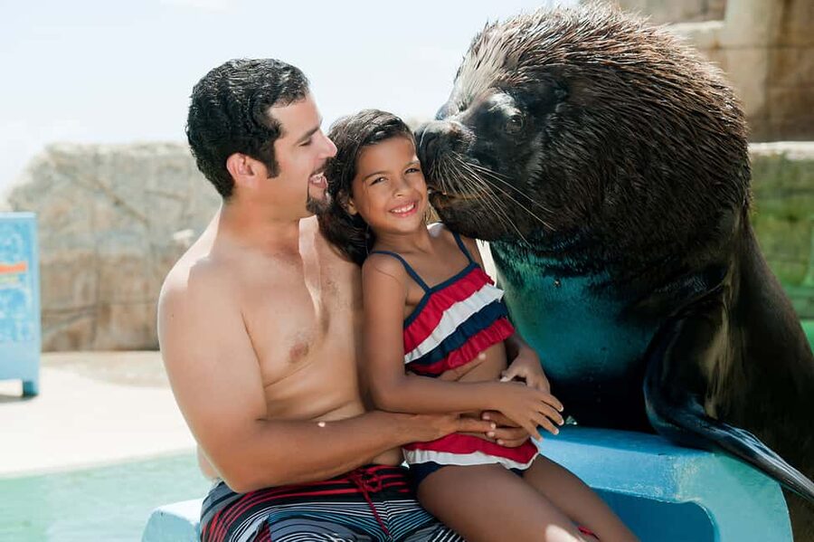 Puerto Plata Ocean World Tickets - Key points to know before you go