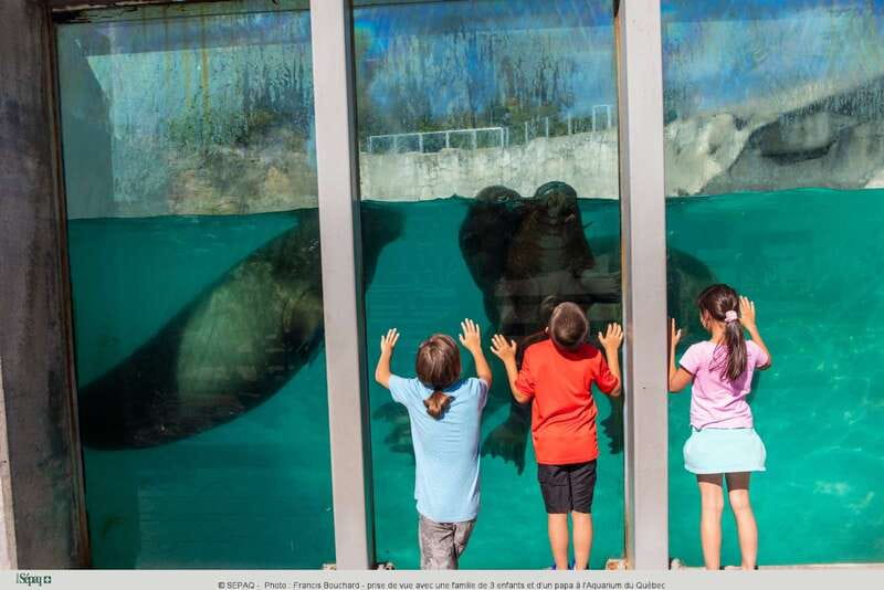 Quebec: Aquarium du Quebec Entry Ticket - Key points to know before you go