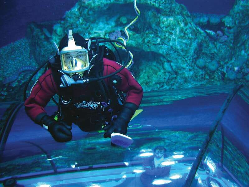 Quebec: Aquarium du Quebec Entry Ticket - Construction is the main thing to check