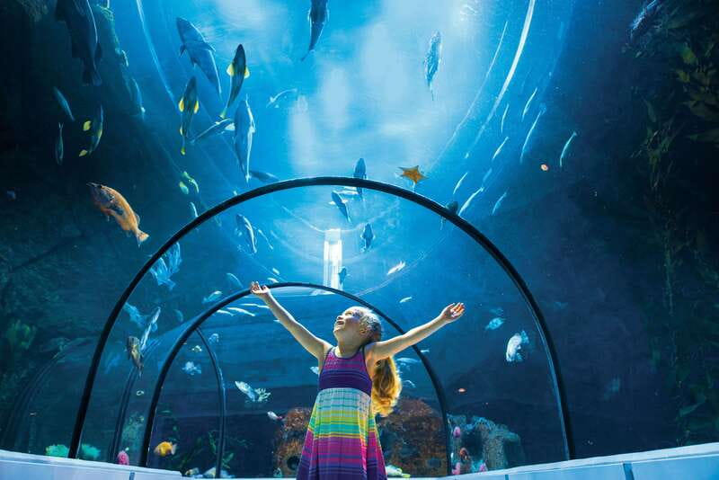Quebec: Aquarium du Quebec Entry Ticket - A well-priced aquarium with more than tanks