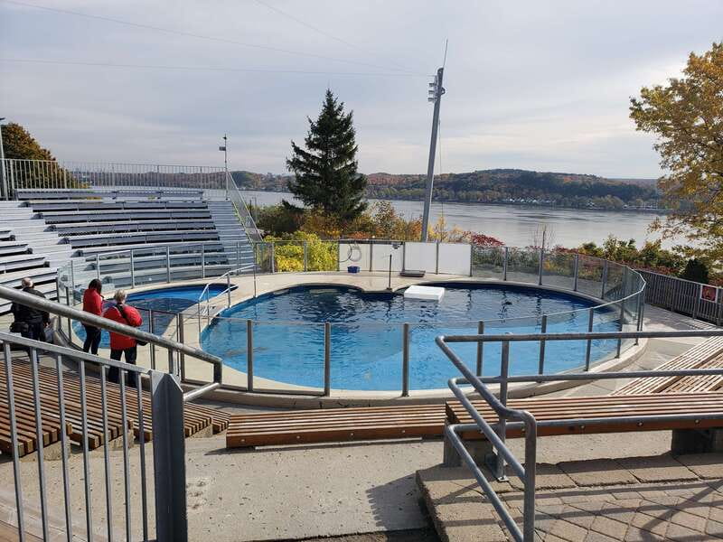 Quebec: Aquarium du Quebec Entry Ticket - Outdoor habitats bring the largest animals into view