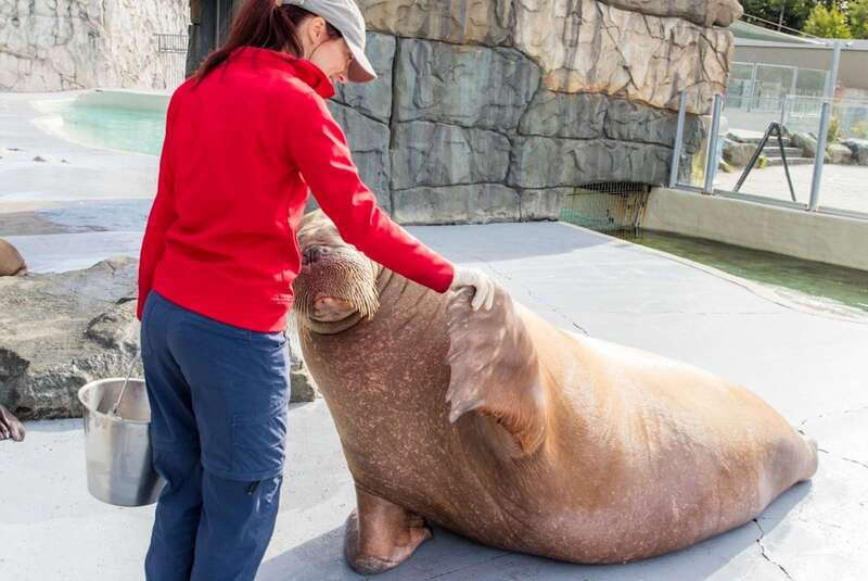 Quebec: Aquarium du Quebec Entry Ticket - How long should you spend there?