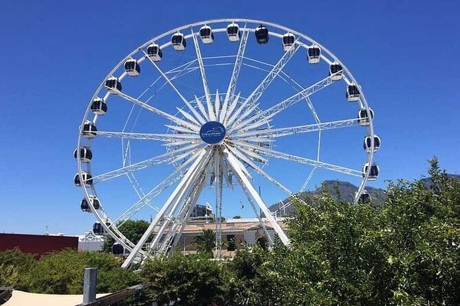 Robben Island Guided Tour & Two Ocean Aquarium with tickets - Free time at the V&A Waterfront