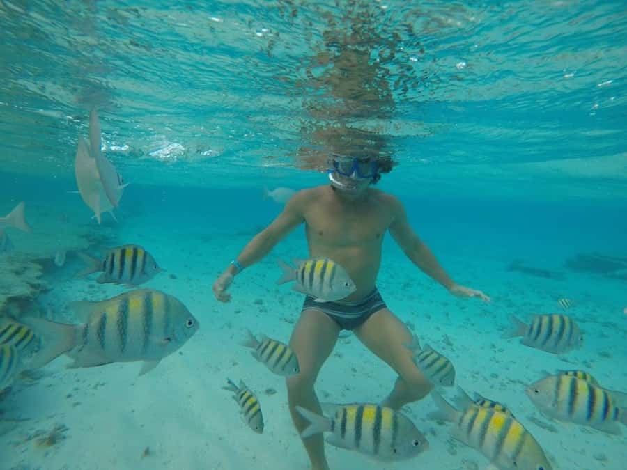San Andres: Transfer by Boat + Natural Aquarium - Organization matters more than the scenery