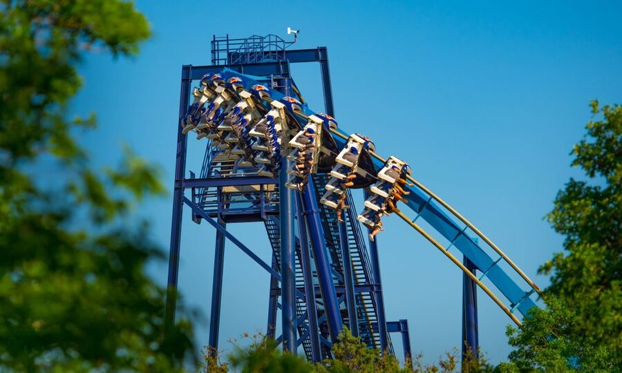 San Antonio: SeaWorld Skip-the-Line Park Admission Ticket - What a SeaWorld San Antonio day feels like