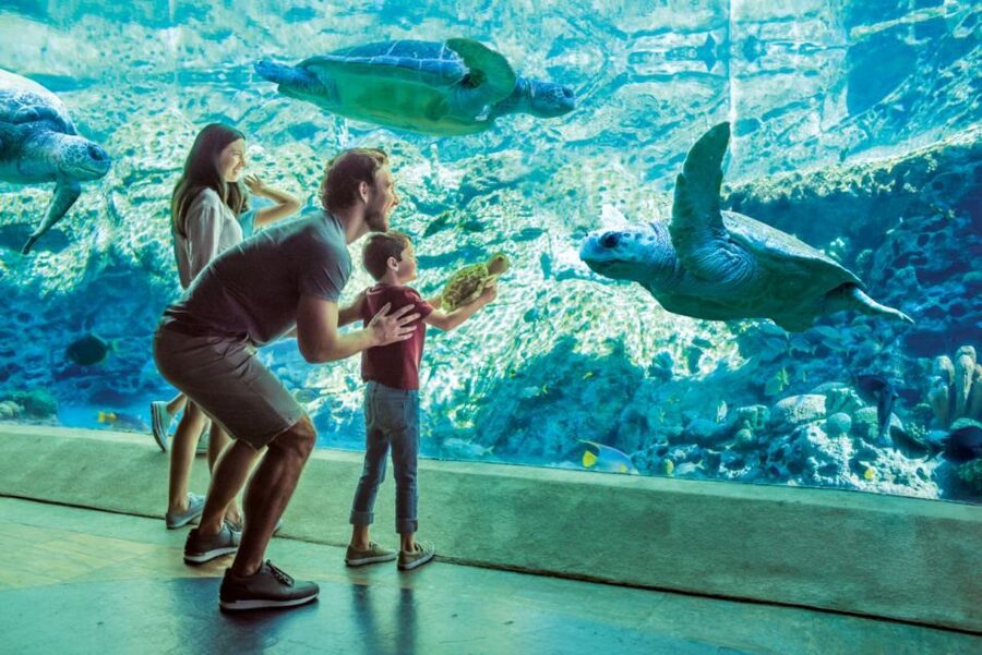 San Antonio: SeaWorld Skip-the-Line Park Admission Ticket - Adding Aquatica on a separate day