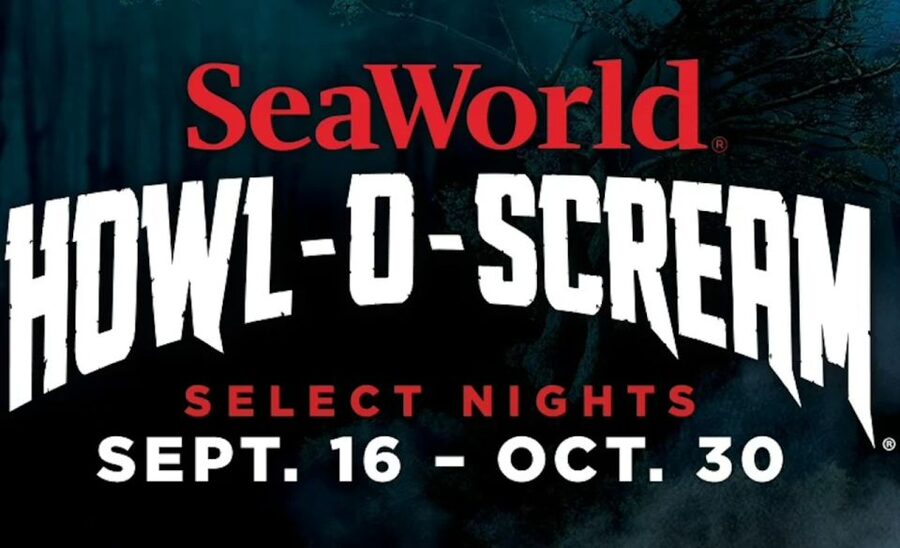 San Antonio: SeaWorld Skip-the-Line Park Admission Ticket - Orcas, belugas, dolphins, and sharks