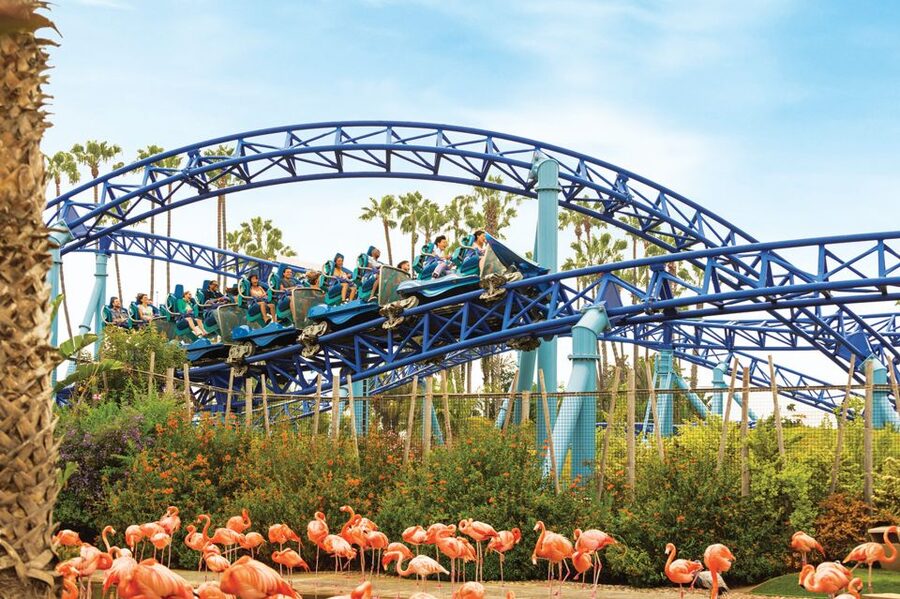 San Diego: SeaWorld Skip-the-Line Park Admission Ticket - A full day of animals, rides, and open-air space