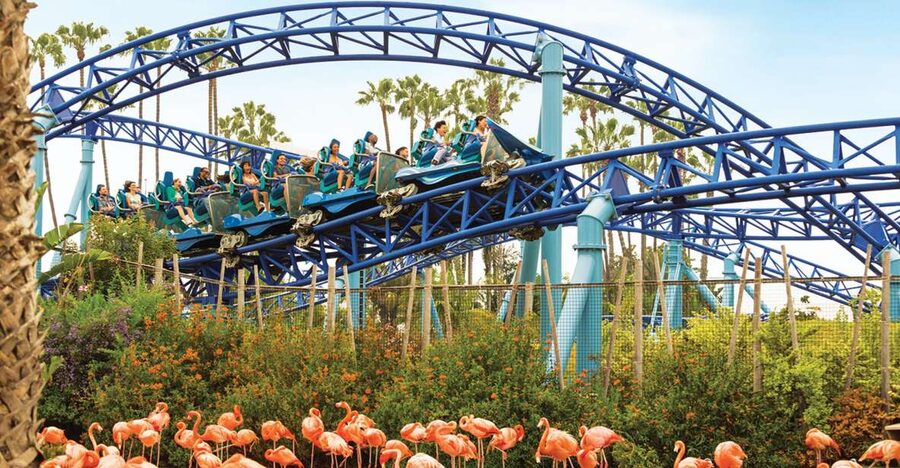 San Diego: SeaWorld Skip-the-Line Park Admission Ticket - Electric Eel and Manta for serious thrills
