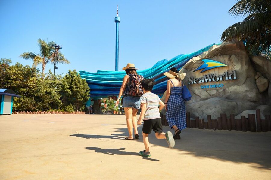 San Diego: SeaWorld Skip-the-Line Park Admission Ticket - Beluga whales, dolphins, and other marine animals