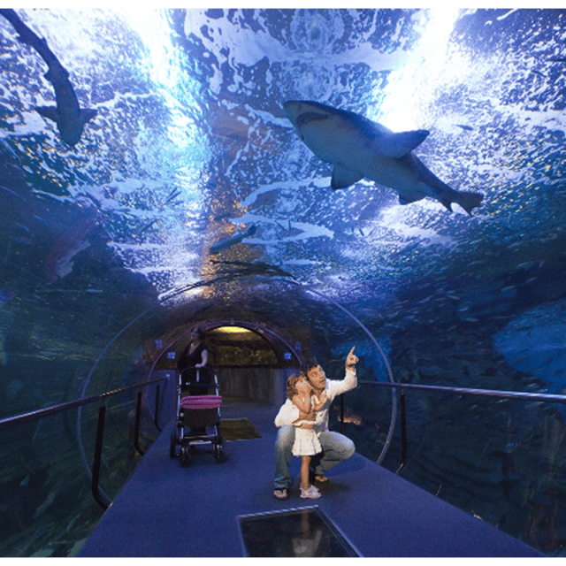 San Sebastian walking tour and aquarium - Key points at a glance