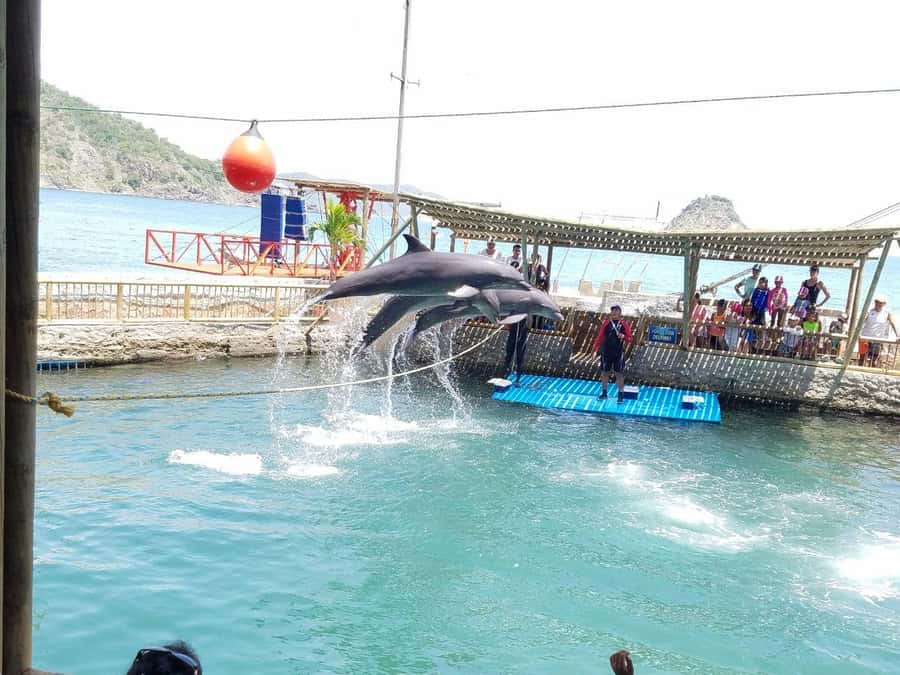 SANTAMARTA: TOUR Combo boat taxi, aquarium, lunch, and white sand beach - Another 20-minute crossing to the beach