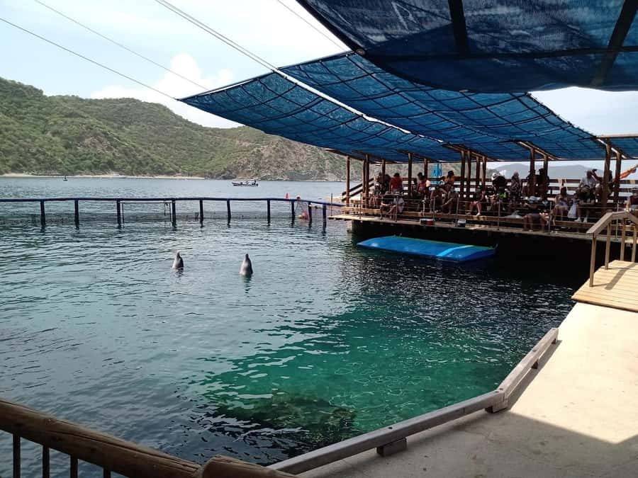 SANTAMARTA: TOUR Combo boat taxi, aquarium, lunch, and white sand beach - Lunch at Playa Blanca
