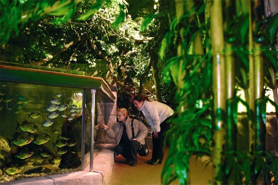 Scheveningen, The Hague: Sea Life Entry Ticket - A short route from Dutch rivers to ocean depth