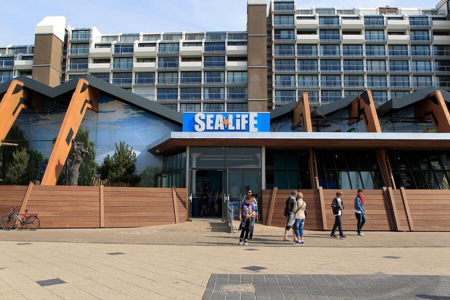 Scheveningen, The Hague: Sea Life Entry Ticket - What the $24 ticket is really worth