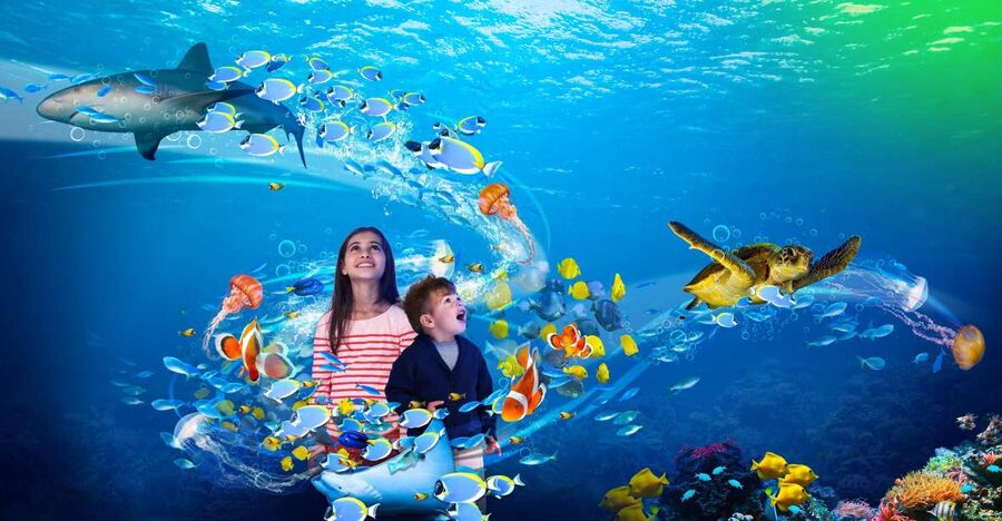 Scheveningen, The Hague: Sea Life Entry Ticket - Who will get the most from this aquarium