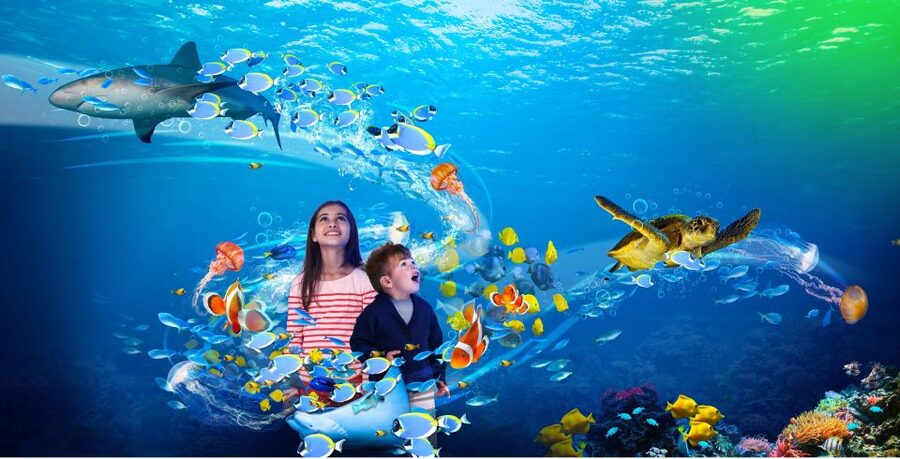 Scheveningen, The Hague: Sea Life Entry Ticket - Should you book Sea Life Scheveningen?