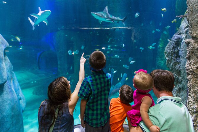 SEA LIFE Aquarium Arizona Admission Ticket - What the Arizona Mills setting means for your visit