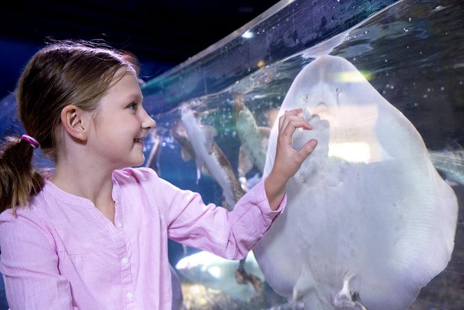 SEA LIFE Aquarium Arizona Admission Ticket - Why the exhibits work for small children