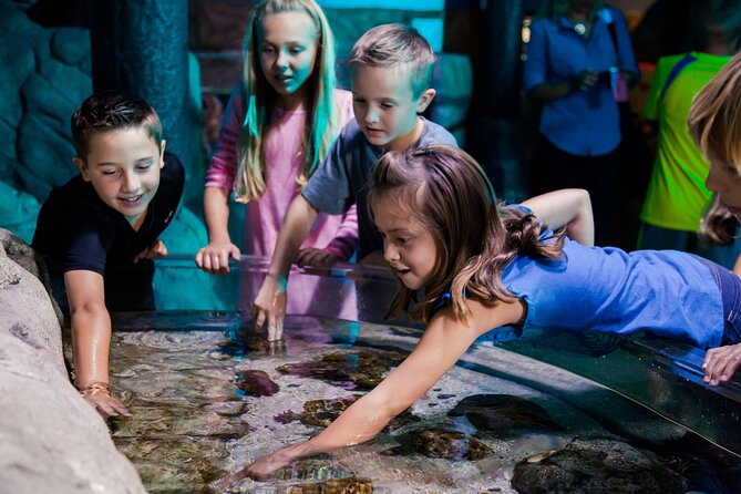 SEA LIFE Aquarium Arizona Admission Ticket - The optional LEGOLAND combination
