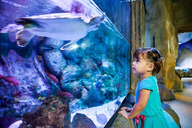 SEA LIFE Aquarium Arizona Admission Ticket - Is $19.46 a fair price?