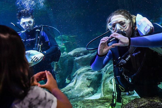 SEA LIFE Aquarium Arizona Admission Ticket - Mobile tickets and the risk of a wrong purchase