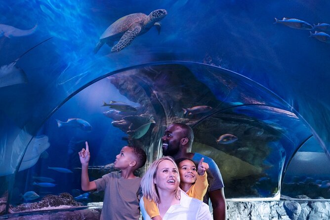 SEA LIFE Aquarium Grapevine Admission Ticket - Key points to know before you go