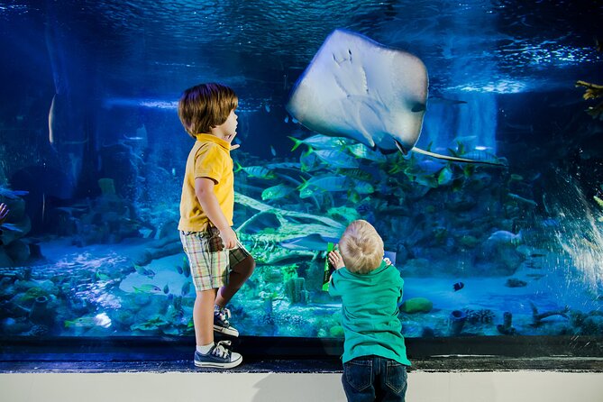 SEA LIFE Aquarium Grapevine Admission Ticket - A compact aquarium with a strong family focus