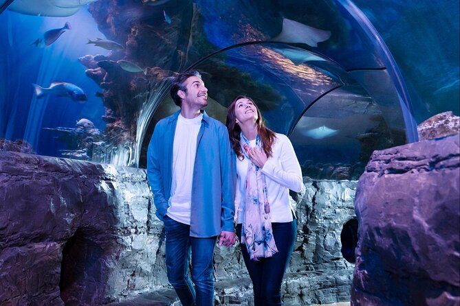 SEA LIFE Aquarium Grapevine Admission Ticket - The rock pool gives children something to do