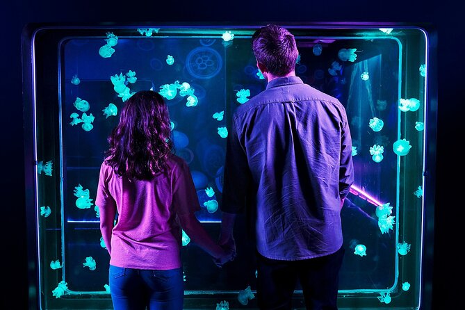 SEA LIFE Aquarium Grapevine Admission Ticket - When to visit and how to handle crowds