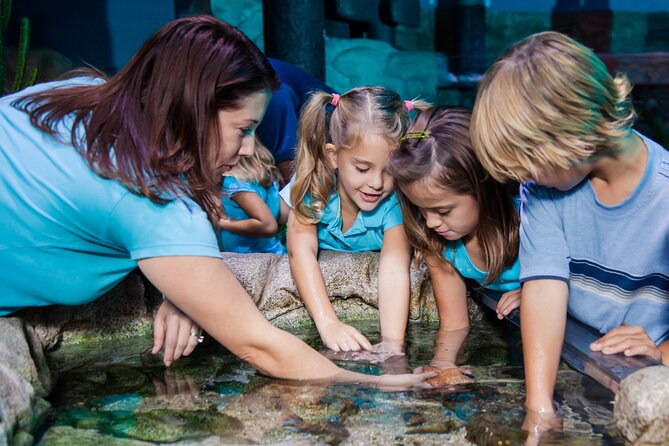 SEA LIFE Aquarium Grapevine Admission Ticket - The underwater tunnel is the highlight