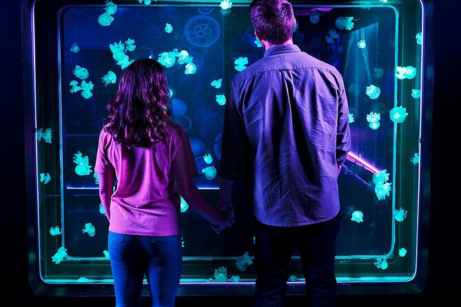 SEA LIFE Aquarium Minnesota Admission Ticket at Mall of America - Stop 1: Finding the aquarium at Mall of America