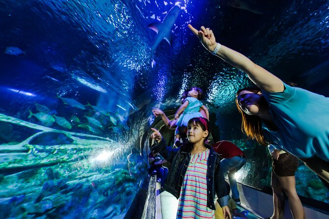 SEA LIFE Aquarium Minnesota Admission Ticket at Mall of America - Claws and the aquarium’s oddest creatures