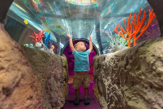 SEA LIFE Aquarium Minnesota Admission Ticket at Mall of America - Rainforest scenes and four themed tanks
