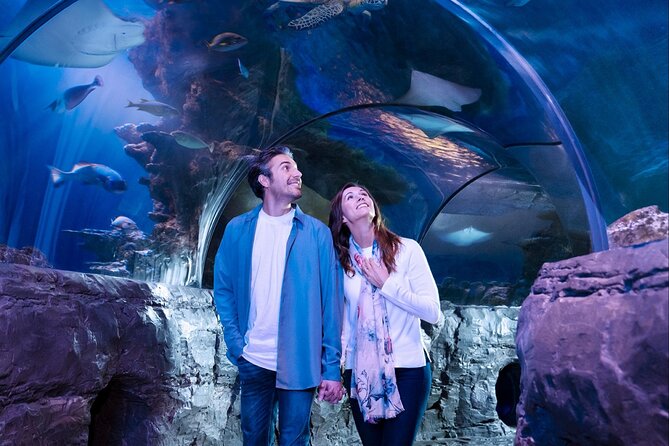 SEA LIFE Aquarium Minnesota Admission Ticket at Mall of America - The 300-foot tunnel and shark tank