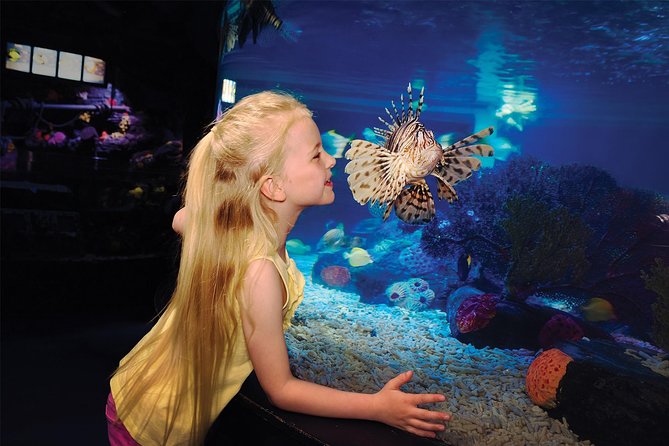 SEA LIFE Aquarium San Antonio Admission Ticket - SEA LIFE San Antonio in one useful hour