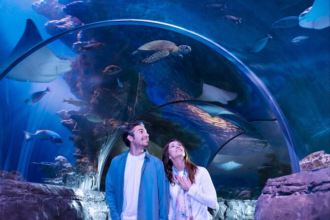 SEA LIFE Aquarium San Antonio Admission Ticket - Who will enjoy SEA LIFE San Antonio most?