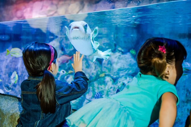 SEA LIFE Aquarium San Antonio Admission Ticket - What the 3.9 rating tells you