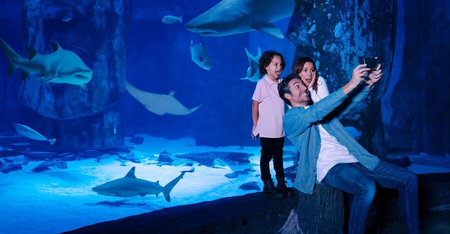 SEA LIFE Arizona Aquarium General Admission - Sharks, rays, and sea turtles at close range