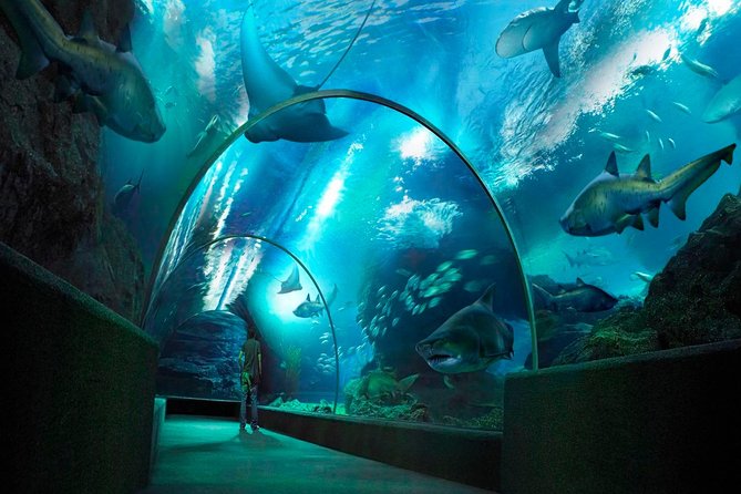 Sea Life Bangkok Ocean World Tickets - What you get for $44 at Siam Paragon