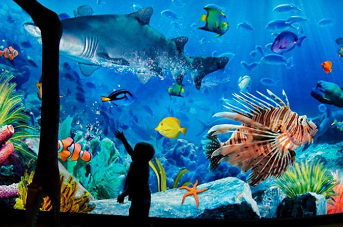 Sea Life Bangkok Ocean World Tickets - Pair the aquarium with Madame Tussauds