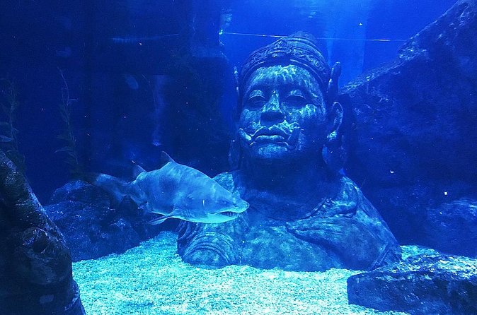 Sea Life Bangkok Ocean World Tickets - Siam Paragon makes the logistics easy