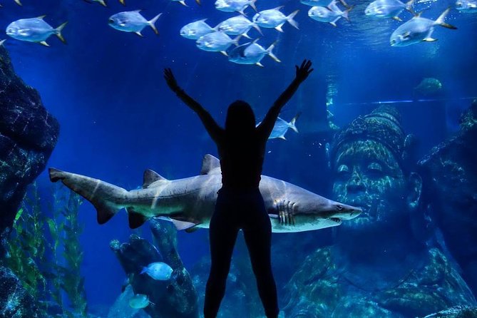 Sea Life Bangkok Ocean World Tickets - Plan around the three-hour visit