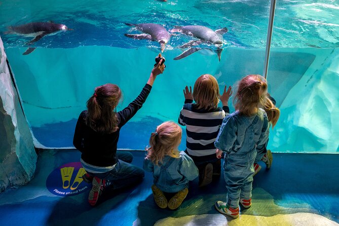 SEA LIFE Birmingham Admission Ticket - The centre’s age and presentation