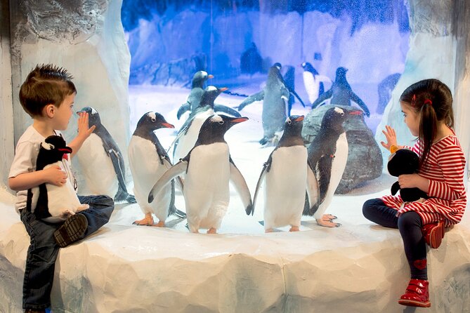 SEA LIFE Birmingham Admission Ticket - The 360° Ocean Tunnel is the clear highlight