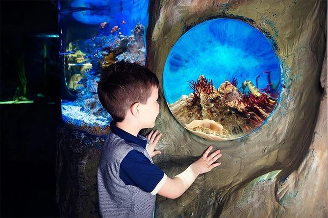 SEA LIFE Blackpool Admission Ticket - Meet the seahorses and tropical reef fish