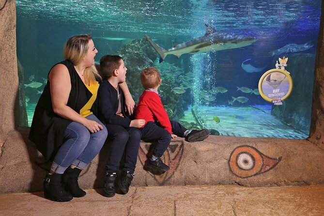 SEA LIFE Blackpool Admission Ticket - Enter the jungle, but watch for frogs and piranhas