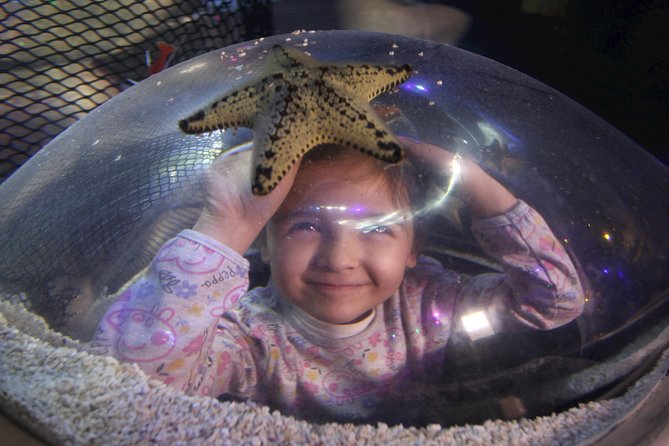 SEA LIFE Blackpool Admission Ticket - How long the visit takes