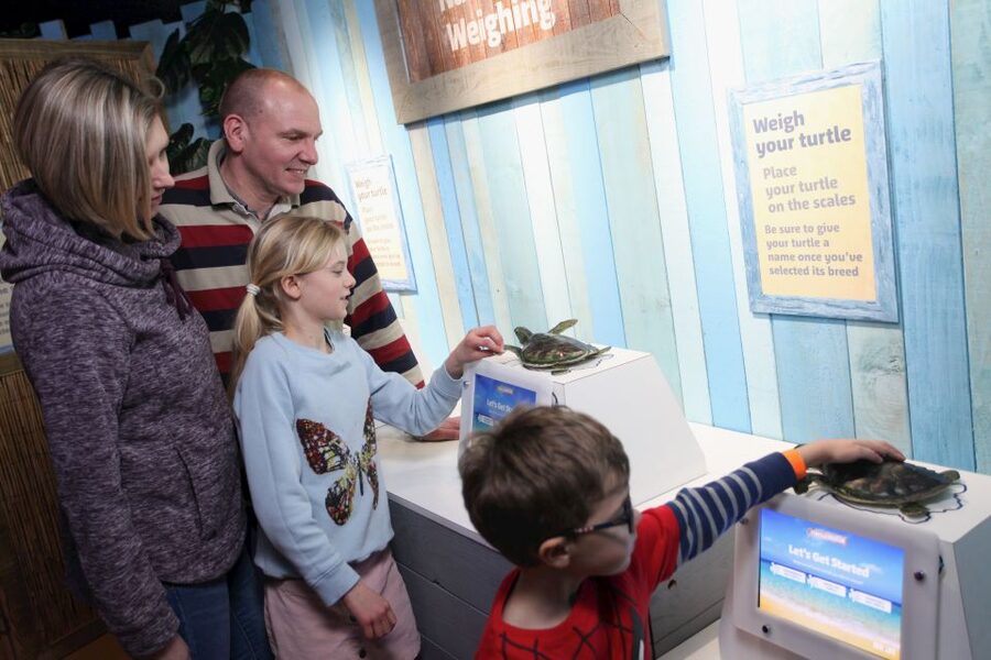 SEA LIFE Blackpool Entrance Ticket - Turtle Rescue gives the visit a purpose